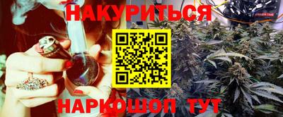 сатива Новодвинск