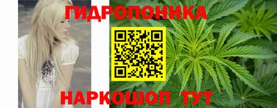 сатива Новозыбков