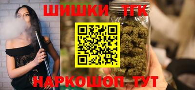 сатива Новозыбков