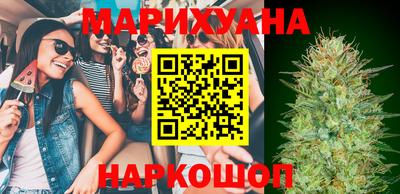 сатива Новозыбков