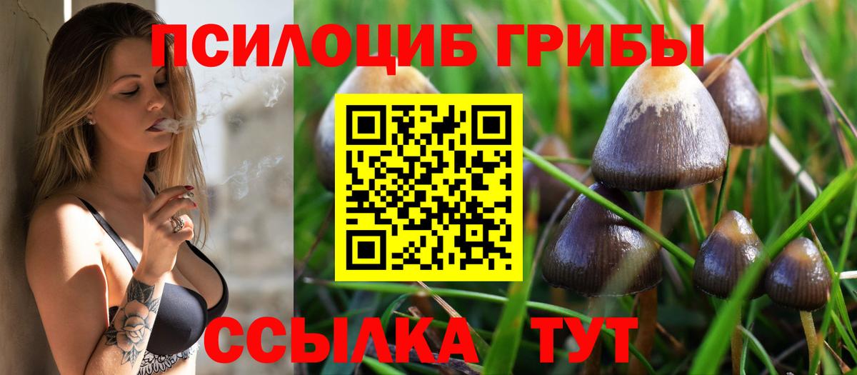 Сунжа  Псилоцибиновые грибы MAGIC MUSHROOMS  Галлюциногенные грибы MAGIC MUSHROOMS  Вход с VPN 