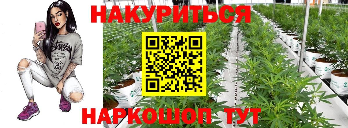 Бошки марихуана конопля  Вход с VPN  Сунжа  Конопля конопля  Каннабис SATIVA & INDICA  Канабис MAZAR 